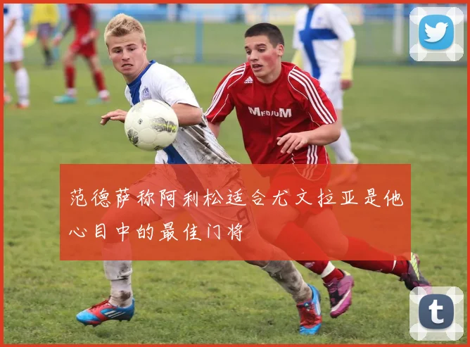 范德萨称阿利松适合尤文拉亚是他心目中的最佳门将